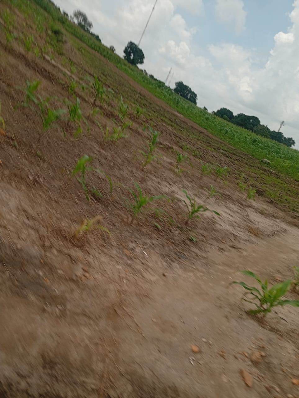 Land at Giri, Abuja