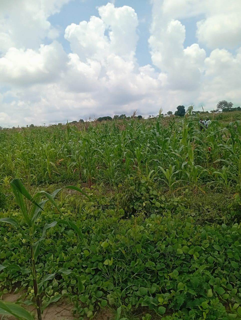 Land at Giri, Abuja